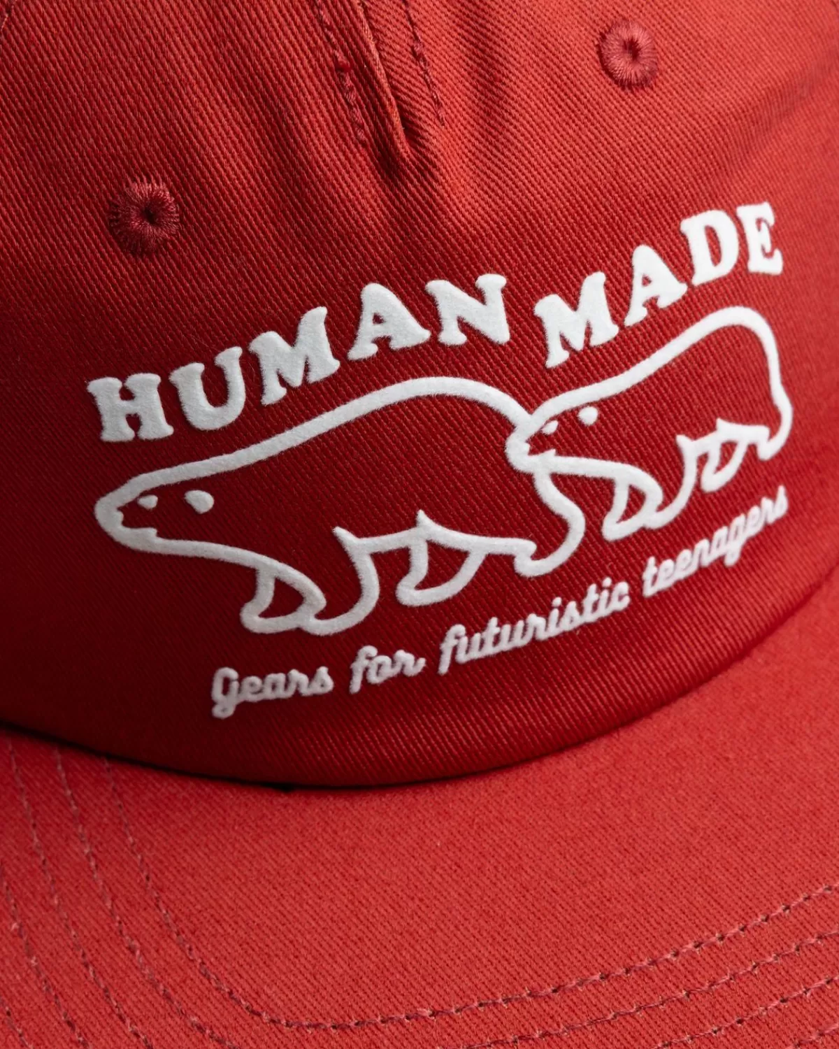 Human Made Door De Mens Gemaakt Pet Met 5 Panelen Rood Cheap