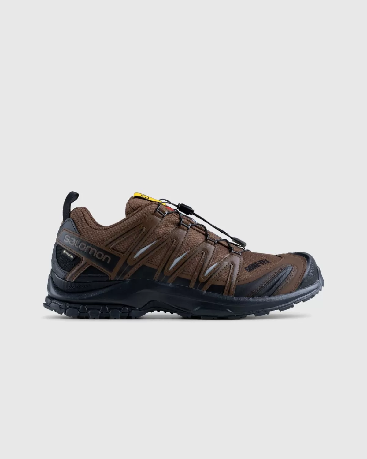 Salomon X And Wander Xa Pro 3D Gore-Tex Bruin Sale
