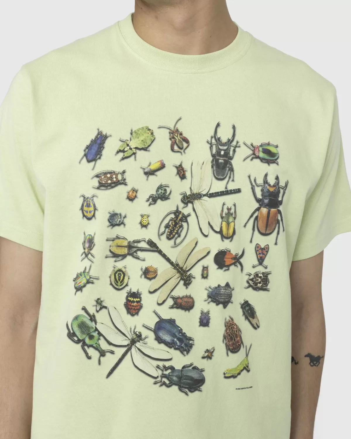 zachte_volheid_gerecycled_katoen_bugs_tee_groen_1.webp Gentle Fullness Zachte Volheid Gerecycled Katoen Bugs Tee Groen Flash Sale