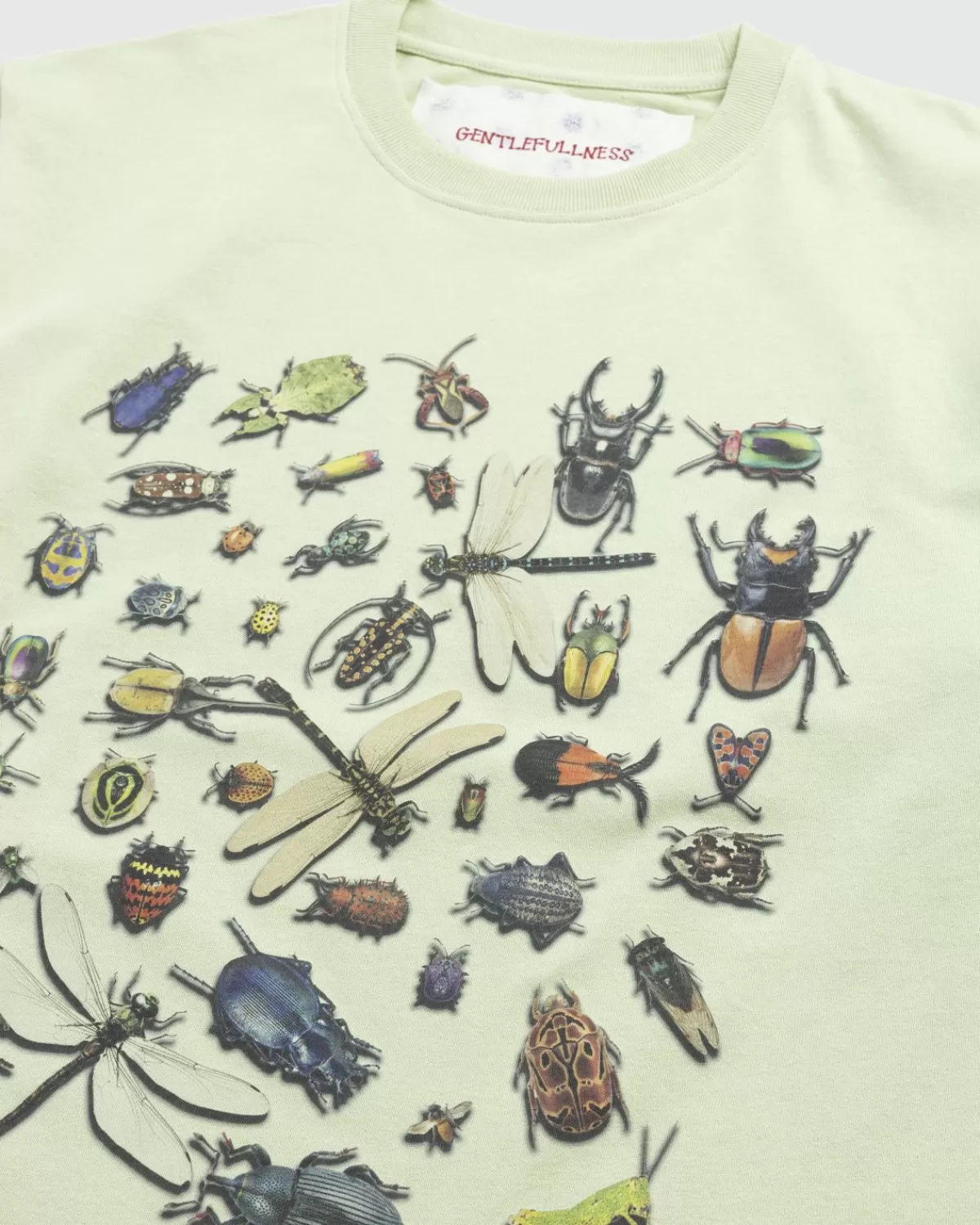zachte_volheid_gerecycled_katoen_bugs_tee_groen_6.webp Gentle Fullness Zachte Volheid Gerecycled Katoen Bugs Tee Groen Flash Sale